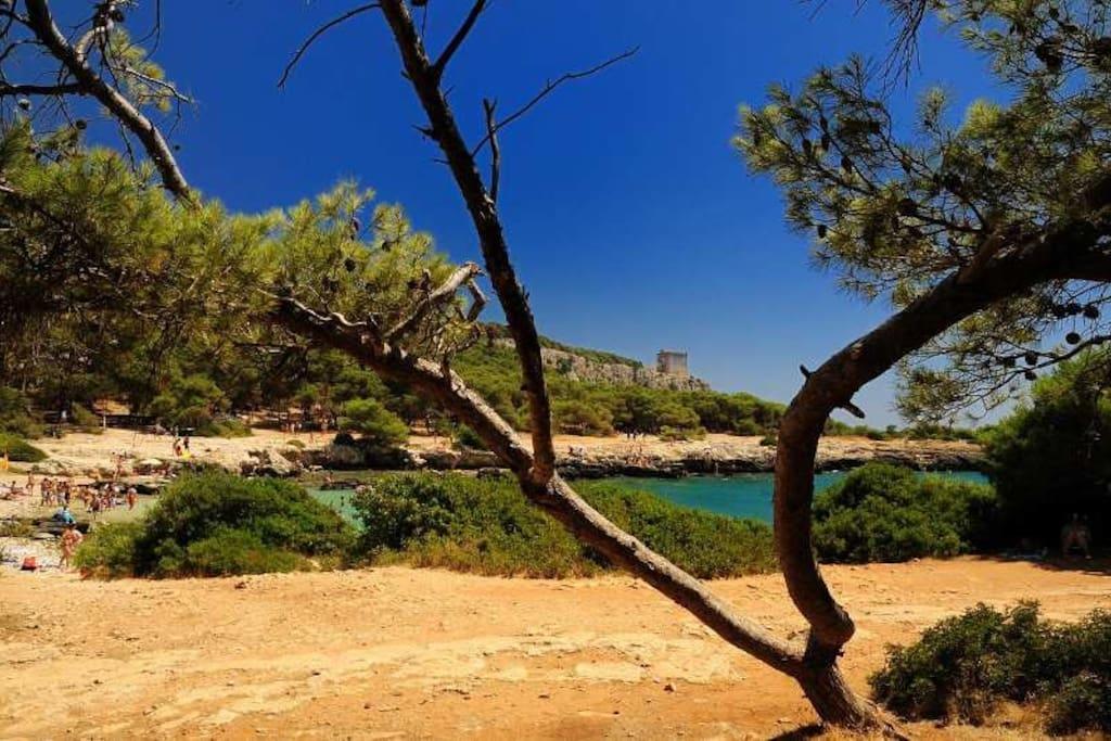 Cottage A 5 Minuti Dal Mare Нардо Экстерьер фото